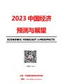 2023年中國經濟預測與展望